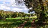 Trail Walking Lierneux - Promenade vers la réserve naturelle de Colanhan (8km)  - Photo 1