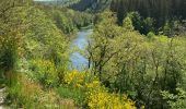 Tour Wandern Herbeumont - Herbeumont - Photo 6