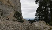 Tour Wandern Romeyer - Col des Bachassons depuis Romeyer - Photo 16