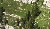Trail Walking Saint-Pierre-d'Entremont - rochers de Fouda Blanc et sommet du Pinet  - Photo 12