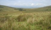 Tour Wandern West Cork - Allihies - Castletownbere - Photo 11