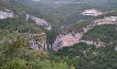 Tocht Stappen Monieux - Monieux Gorges de la Nesque (IBP70) 17 juin 2021 Séjour CAF - Photo 2