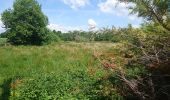 Percorso A piedi Claremorris-Swinford Municipal District - Sliabh Cairn Peak - Photo 3