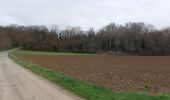 Trail Walking Pérignat-sur-Allier - LES HAUTS D'ALLIER - Photo 2