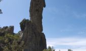 Trail Walking La Roquebrussanne - Massif de la Loube - Photo 2