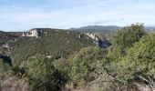 Tocht Stappen Vallon-Pont-d'Arc - Les balcons de l ibie 10/10/19 - Photo 7