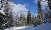 Excursión A pie Brașov - Șaua Tâmpei - Valea Cetății - Poiana Brașov - Photo 2