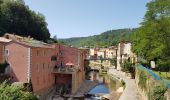 Tocht Fietstoerisme Caudiès-de-Fenouillèdes - Caudiès-de-Fenouillères - Puivert - Photo 8