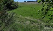 Trail Walking Pontgibaud - LA CHEIRE DE PONTGIBAUD - Photo 15