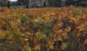 Tour Wandern Corconne - Corconne vignes garrigue oliveraies  - Photo 5