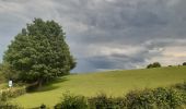 Tocht Stappen Pepinster - les 3 bois / cornesse  .  gofontaine  .  pepinster  .  cornesse  - Photo 1