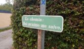 Tour Wandern Elbeuf-sur-Andelle - 20220823-Elbeuf sur Andelle  - Photo 11