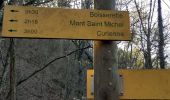 Tour Wandern Saint-Jeoire-Prieuré - mt st michel par boisserette - Photo 11