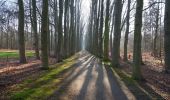 Tour Zu Fuß Lochem - Wandelroute Velhorst - Photo 10