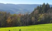 Tour Wandern Bad Peterstal-Griesbach - Bad Peterstal - cascade du Holchen - lac de Glaswald – échelle de la chaire du diable - cascade de Griesbach - Photo 4