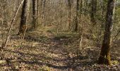 Trail Walking Sillingy - Âge tt à droite - Photo 6