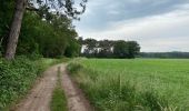 Trail Walking Huldenberg - Pecrot 22 km - Photo 5