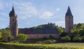 Tocht Te voet Wittlich - Säubrenner Route - Photo 2