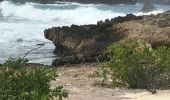 Excursión Senderismo Anse-Bertrand - Porte d’enfer anse Bertrand  - Photo 8