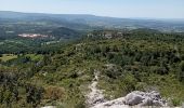 Trail Walking Bédoin - Bedoin  - Photo 5