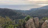 Tour Wandern Saint-Raphaël - Les grues et le Mont St Martin depuis le col Notre Dame - Photo 6