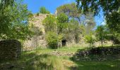 Tour Wandern Cheval-Blanc - Les gorges du Regalon  - Photo 5