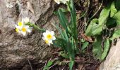 Trail Walking Bormes-les-Mimosas - les 3 cols Bormes les Mimosas  - Photo 7