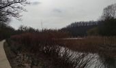 Trail Nordic walking Condé-sur-l'Escaut - la grande boucle de Condé sur Escaut  - Photo 9