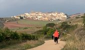 Percorso Marcia Puente la Reina/Gares - 2023 10 17 CAMINO FRANCES - 25ème étape : Puente La Reina - Mañeru - Cirauqui - Lorca Villatuerta - Estelle - Ayegui - Irache - Azqueta - Villamayor de Montjardin. - Photo 3