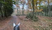Trail Horseback riding Florenville - Les Epioux - Photo 3