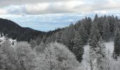 Randonnée Raquettes à neige Divonne-les-Bains - La Vatay Suisse - Photo 6