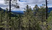 Trail Walking Die - Col de Bergu  - Photo 13