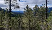 Tour Wandern Die - Col de Bergu  - Photo 13