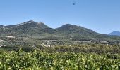 Randonnée Marche Vacqueyras - Vacqueyras : balade dans les vignes - Photo 1