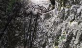 Trail Walking Joucas - Joucas - Les gorges de Véroncle - Photo 17