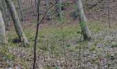 Percorso Marcia Watermael-Boitsfort - Watermaal-Bosvoorde - promenade matinale a boisfort - Photo 5