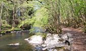 Randonnée Marche Daverdisse - Gembes (le long de l'Our et de la Lesse) - Photo 4
