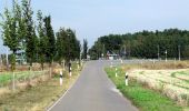 Percorso A piedi Teichland - Wanderweg Maust - Bärenbrück - Photo 2