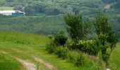 Excursión A pie okres Prešov - Náučný chodník Kamenná Baba - Lačnov - Photo 6