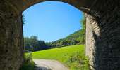Randonnée Marche Clervaux - Clervaux - Sentier local CL 2 - Photo 10