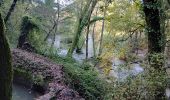Trail Walking Vins-sur-Caramy - Vins sur Caramy-13-11-2024  - Photo 3