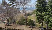 Excursión Senderismo Monte - De Monte au Jardin Botanico (Rother n°3) - Photo 10