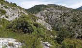 Trail Walking Bédoin - Bedoin  - Photo 4