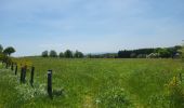 Trail Walking La Roche-en-Ardenne - Sanree 300523 - Photo 3