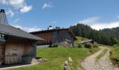 Excursión Senderismo Arâches-la-Frasse - Les crêtes des Carroz, l'Airon - Photo 17