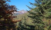 Tour Wandern Saint-Sauves-d'Auvergne - Charlannes-la_charbonnière-la_Stéle - Photo 4