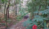 Trail Walking Lasne - autour d'Ohain... - Photo 7