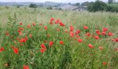 Tocht Stappen Luik - Rocourt - Oupeye - Rocourt  - Photo 4