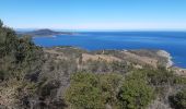 Tocht Stappen Banyuls-sur-Mer - banyuls . coll de gran bau . retour par le littoral  - Photo 13