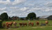 Tour Wandern Malmedy - 20210620 - Baugnez 8.7 Km - Photo 18